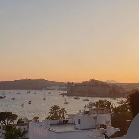 Sariaslan Uec Arti Bir Αλικαρνασσός